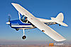 IMG_8163m_800_copy.jpg