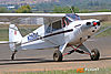 IMG_8172m_8002.jpg