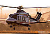 IMG_8199M_800.jpg