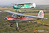IMG_8220m_800.jpg