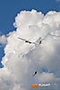 IMG_8229m2_800.jpg