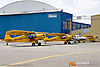 IMG_8241m_800_copy.jpg
