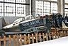 IMG_8254m_800.jpg