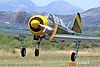 IMG_8290M_800.jpg
