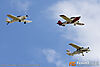 IMG_8317m_8003.jpg
