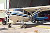 IMG_8320m_800.jpg