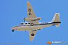 IMG_8322m_800_copy1.jpg