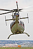 IMG_8337M_800_copy.jpg