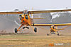 IMG_8430m_8001.jpg