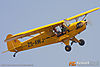 IMG_8478M_800.jpg