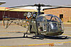 IMG_8480m_8005.jpg