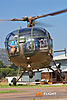 IMG_8490m_800_copy.jpg