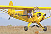 IMG_8511m_8001.jpg
