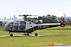 IMG_8517M_800_copy.jpg