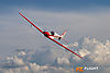 IMG_8540m_8001.jpg