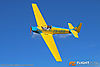 IMG_8557m_8002.jpg