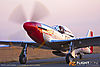 IMG_8569m_8001.jpg