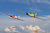 IMG_8595m2_800.jpg