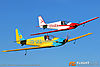 IMG_8630m2_800.jpg