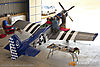 IMG_8658M_800.jpg