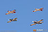 IMG_8658m_8001.jpg