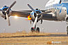IMG_8675m_800.jpg