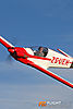 IMG_8686m2_800.jpg
