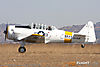 IMG_8696M_800.jpg