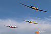 IMG_8702m_800.jpg