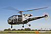 IMG_8711m_800_copy.jpg