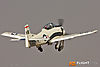 IMG_8740m_800_copy.jpg