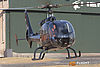 IMG_8814m_800a.jpg