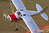 IMG_8849m_800.jpg