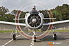 IMG_8890m_800_copy.jpg