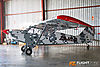 IMG_8920m2_800.jpg