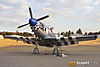 IMG_8936M_800.jpg