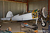 IMG_8979M_800_copy.jpg