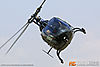 IMG_9013m_800.jpg