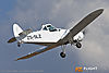 IMG_9013m_8002.jpg