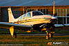 IMG_9065m_800_copy1.jpg