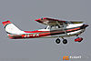 IMG_9101m_800_copy.jpg