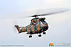 IMG_9103m3_800.jpg