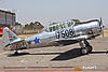 IMG_9118m_800.jpg