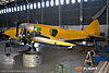IMG_9137m_800.jpg