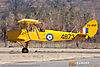 IMG_9141m_800.jpg