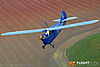 IMG_9145M_800.jpg