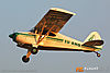IMG_9274m_800.jpg