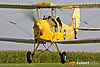 IMG_9293m_800_copy.jpg