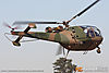IMG_9335m_8001.jpg