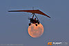 IMG_9398M2_800_copy.jpg